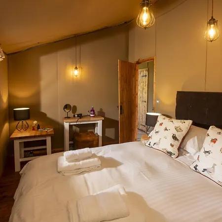 Coniston - Safari آمبيلسايد