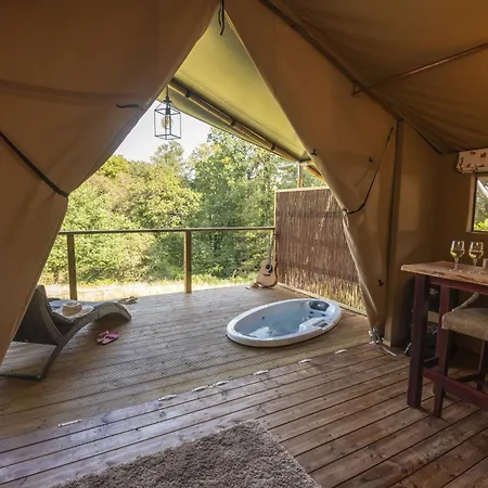 Coniston - Safari 安布尔塞德