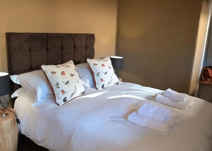 Luxury tent Coniston - Safari