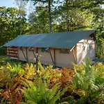 Coniston - Safari