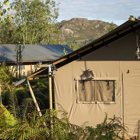 Coniston - Safari آمبيلسايد