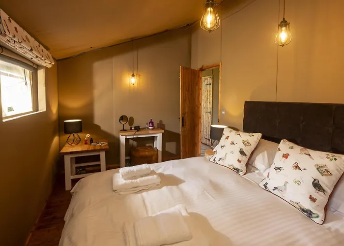 Coniston - Safari آمبيلسايد