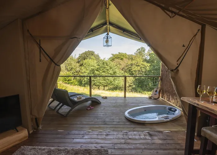 Coniston - Safari آمبيلسايد