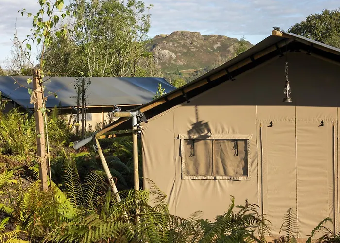 Coniston - Safari آمبيلسايد